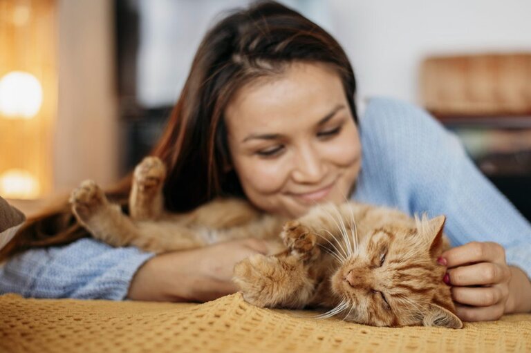 Owner petting adorable ginger cat