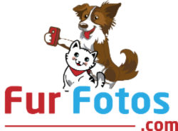 FurFotos